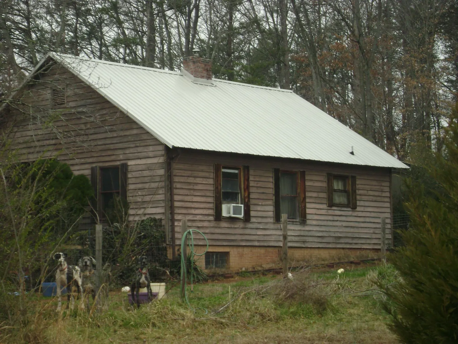 White metal roof on an old wood sided farmhouse, from a Asphalt Shingle Roof Repair job in Carmel